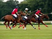 Championship final in Argentina polo